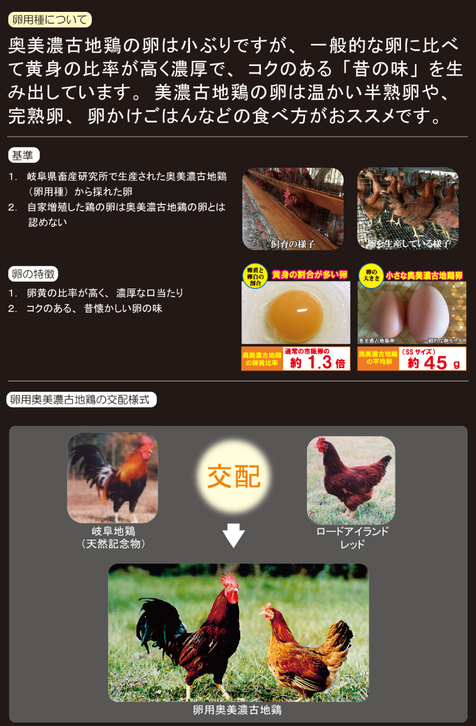 送料無料 岐阜県 奥美濃古血地鶏 混ぜご飯の素 とり沢 1袋 2-3人分 おにぎり まぜごはん 炊き込み風 高級品市場